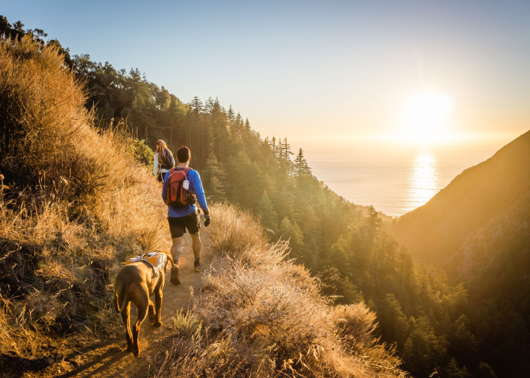 Couple with dog hiking.