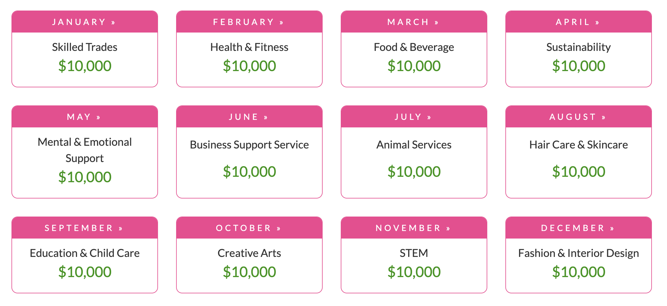 Iinfographic showing the 12 categories for each month in the Business-Specific Grant.