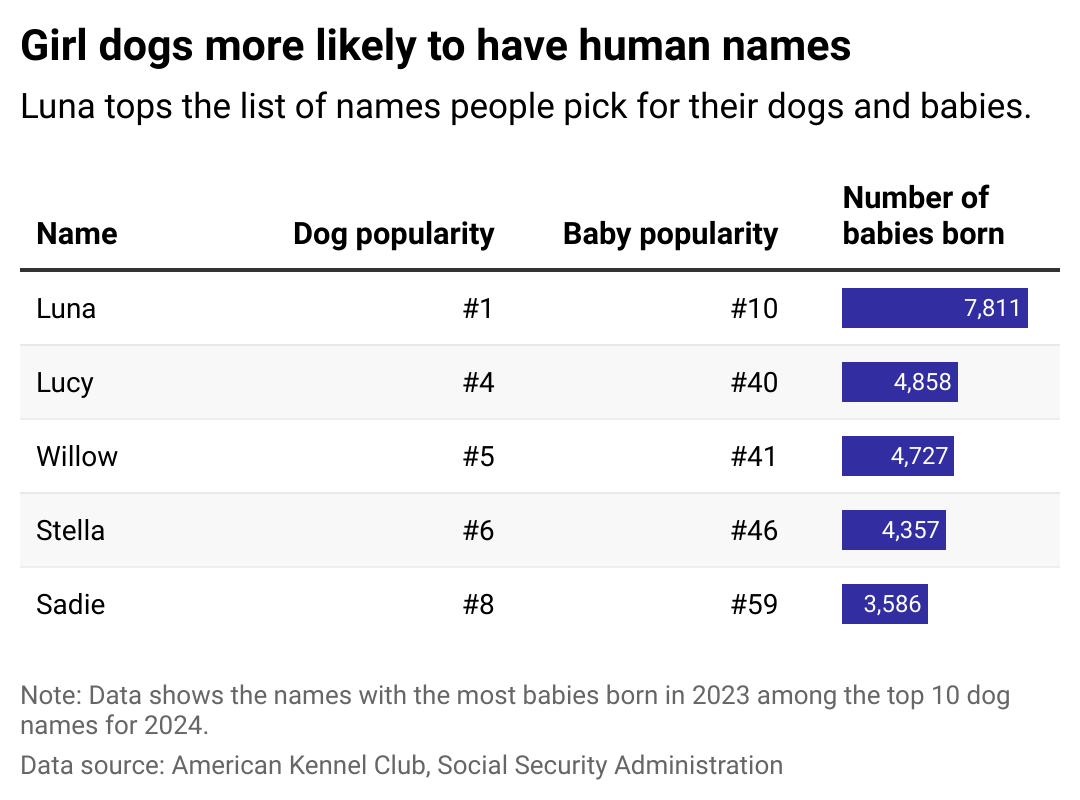 A table showing the names with the most babies born in 2023 among the top 10 girl dog names for 2024.