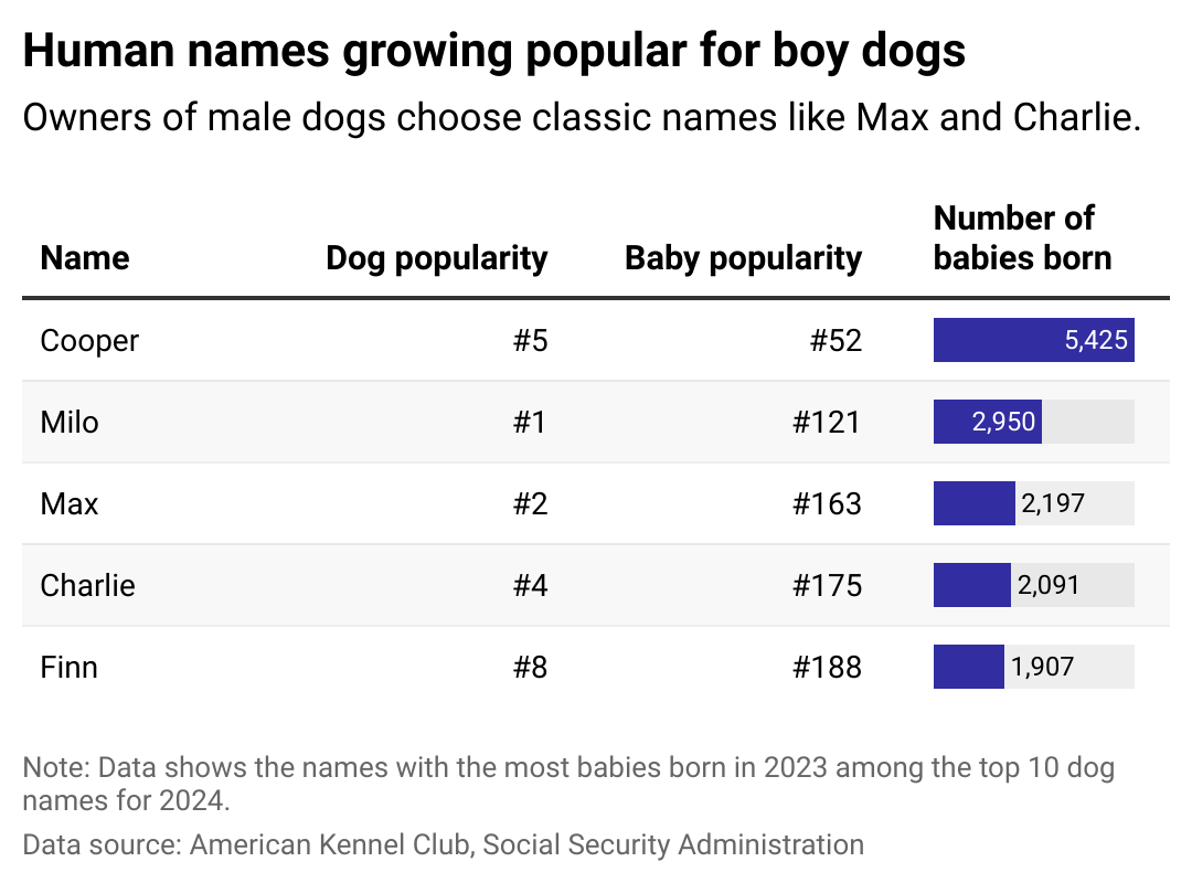 A table showing the names with the most babies born in 2023 among the top 10 boy dog names for 2024.