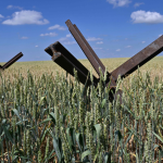Anti-tank obstacles on a wheat field at a farm in southern Ukraine