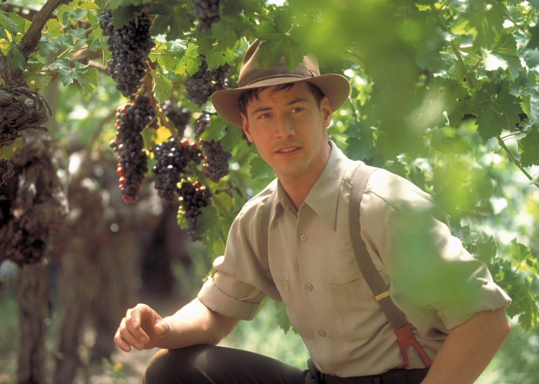Keanu Reeves in a scene from ‘A Walk in the Clouds.'