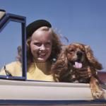 Blonde haired teen girl with black beret hat posed behind the wheel of a convertible car with her Cocker Spaniel dog.