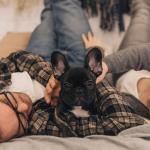 Happy couple is having fun and playing with their French bulldog puppy on the bed at home.