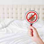 A woman's manicured hand holds a magnifying glass over a hotel room bed to check for bed bugs