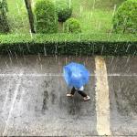 Person walking with a blue umbrella in the pouring rain.