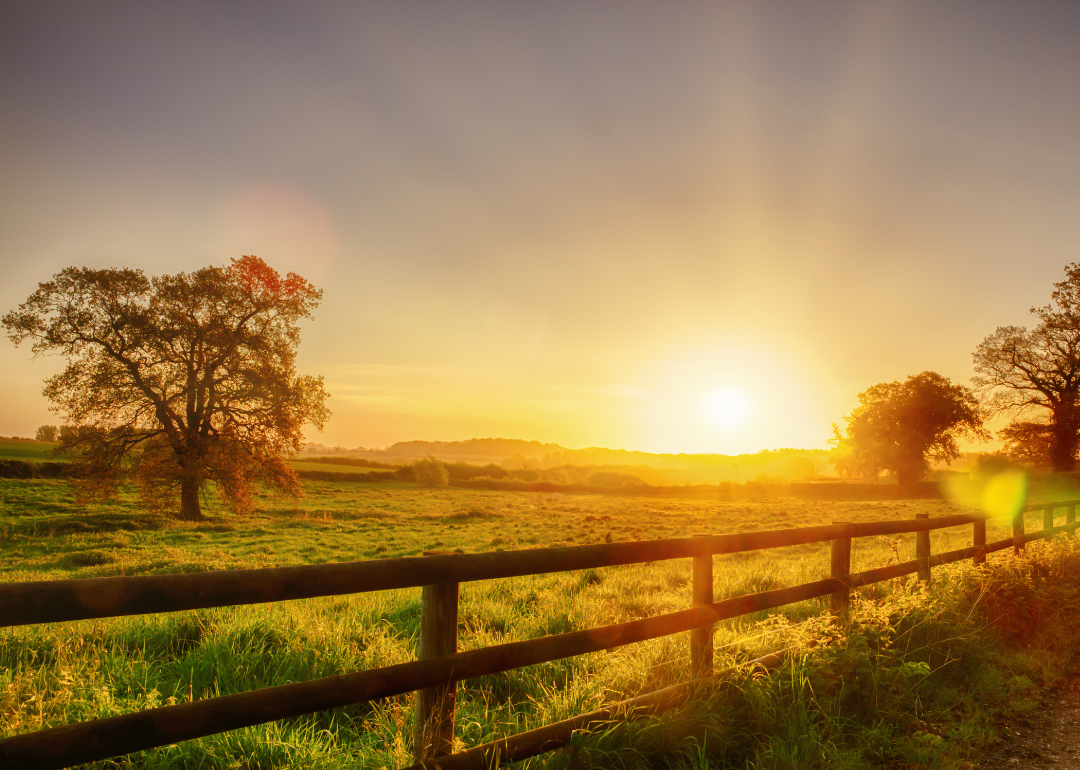 Farmland being used to grow grass and trees.
