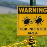 A yellow warning sign telling people of a tick infested area in a grassy area near the Hudson river in Westchester County, New York.
