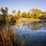 Medicine Lake Park in Plymouth, Minnesota during autumn.