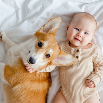Baby and corgi dog beside each other on bed.
