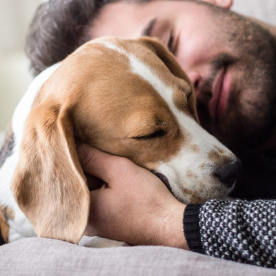 Man hugging dog.