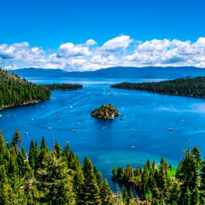 View of trees and water in Lake Tahoe in California.