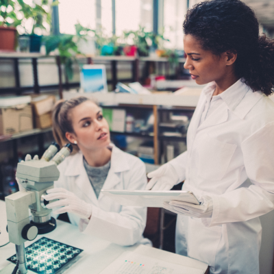 Two women scientists discuss their findings in a laboratory environment