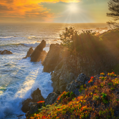 Highway 1, Northern California Coast