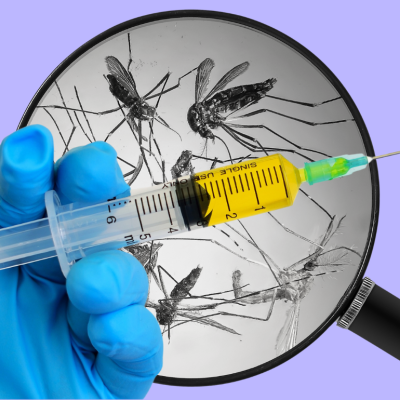 A hypodermic needle is held in front of a magnifying glass looking at mosquitoes.