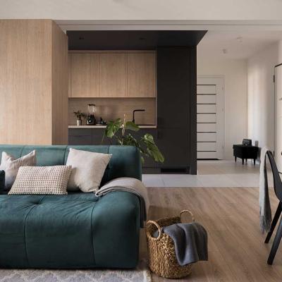 living room designed with a mix modern and traditional styles