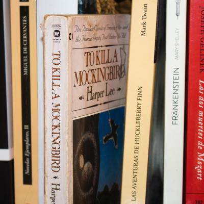 Classic books, including 'To Kill a Mockingbird' by Harper Lee and 'Jane Eyre' by Charlotte Brontë, on a shelf.