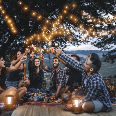 friends celebrating together outdoors on a picnic while darkness falls