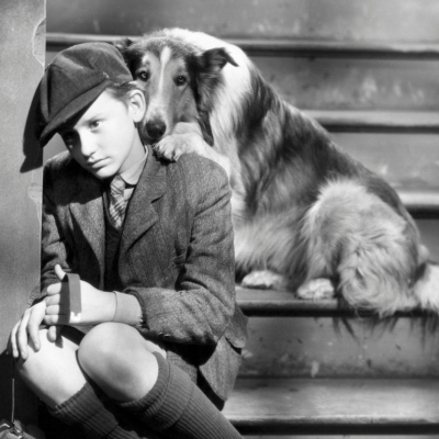 A young Roddy McDowall lends a shoulder to his beloved dog Lassie in the first of the Lassie films, "Lassie Come Home" 1943.