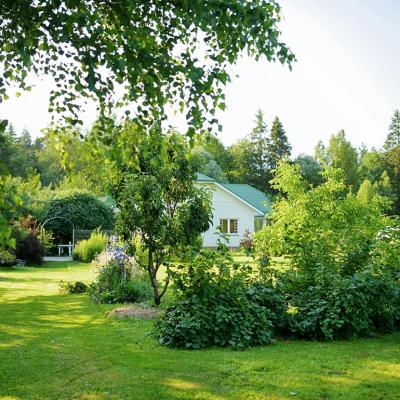 Beautifully displayed yard with the greenest grass and various plants and flowers.