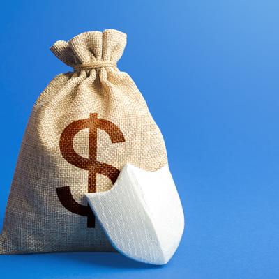 A dollar money bag and protection shield as a concept of insurance and savings.