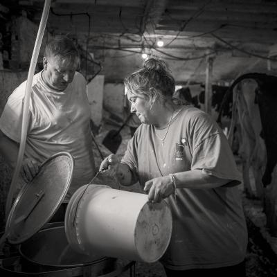 Tom Hill and neighbor Angel Putvain pour fresh milk into a collection vat during the Friday evening milking session.