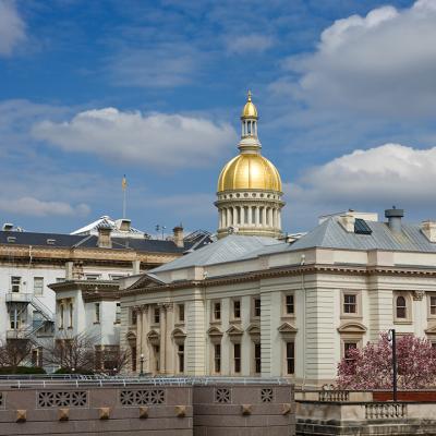 The New Jersey State House capitol in Trenton.