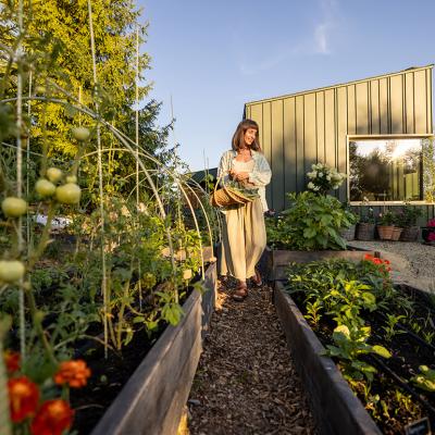 A woman happily examines green tomatoes and other plants in her garden.