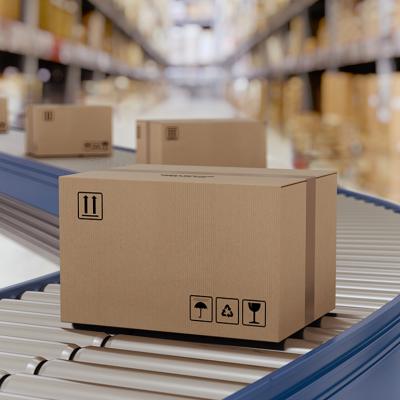 Cardboard boxes on conveyor rollers for distribution and shipping.