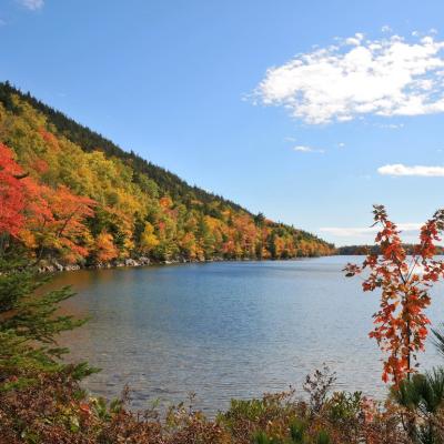 Autumn colors in the National Park of Bar Harbor, USA.