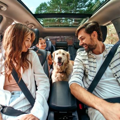 A family and a Labrador dog sitting in a car. 