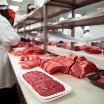 Meats of all types sit raw before packaging.