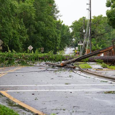 Toppled trees on a road in Tallahassee, Florida after multiple tornadoes and winds.