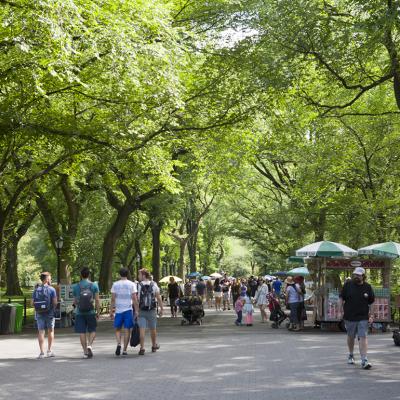 Pedestrians under trees of the Mall in Central Park, New York City.