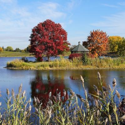 Little bear lake located in Vernon Hills.