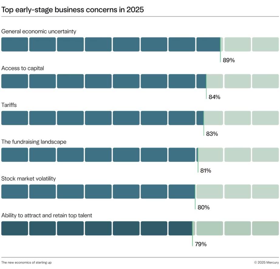 Data chart showing top early-stage business concerns in 2025.