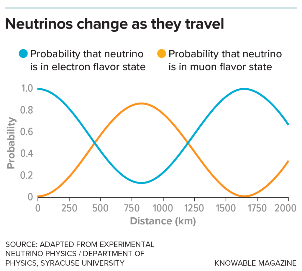 Graphic showing that neutrinos are known to oscillate, switching between three varieties or “flavors.” Exactly how they oscillate is governed by the laws of quantum mechanics, and the probability of finding that an electron neutrino has transformed into a muon neutrino, for example, varies as a function of the distance traveled. (The third flavor state, the tau neutrino, is very rare.)    
