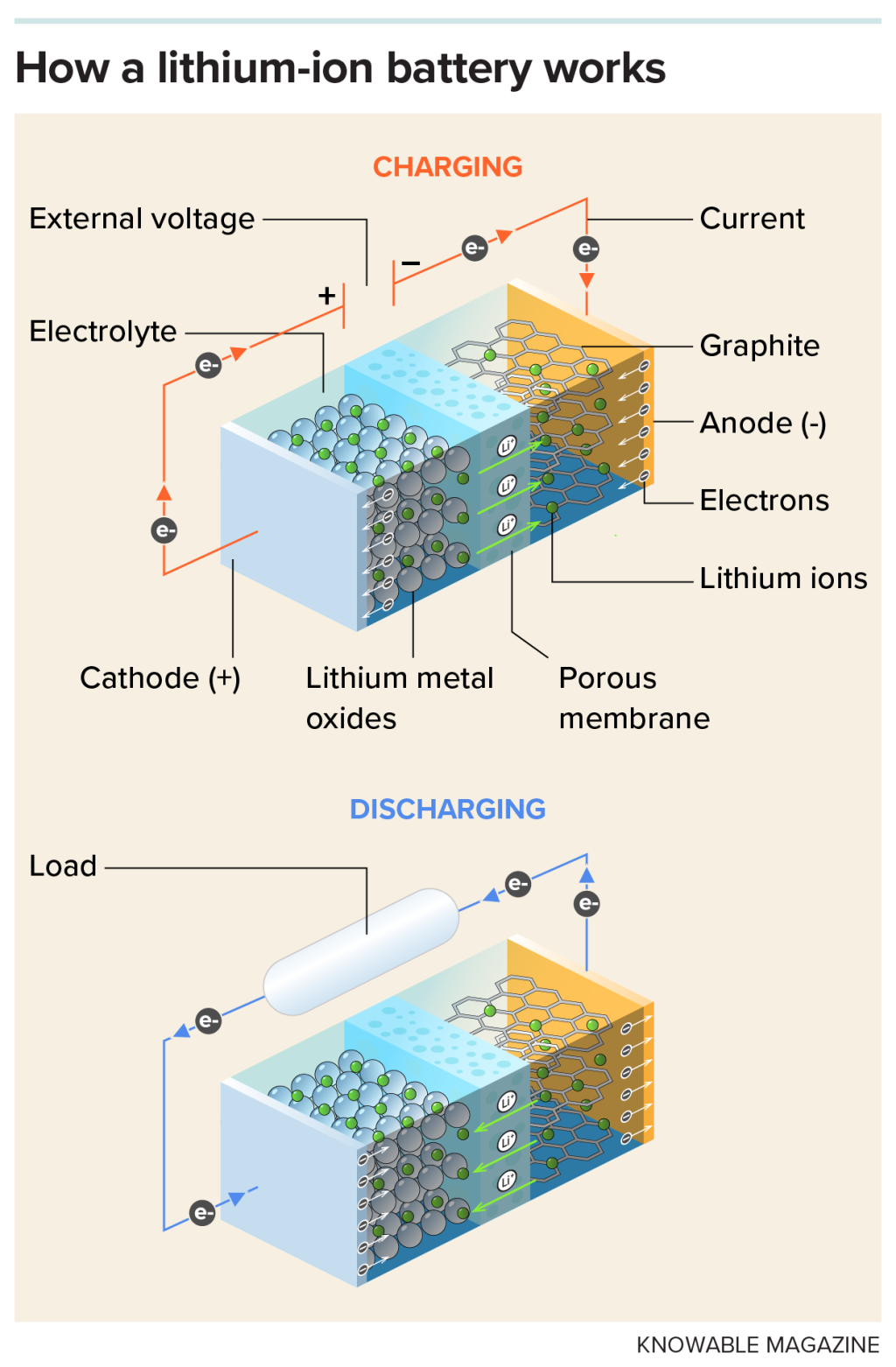 Charging a standard lithium-ion battery (top) works by applying a voltage between cathode and anode. This pulls lithium atoms from the cathode and strips off an electron from each. The now positively charged lithium ions then flow across the membrane to the negatively charged anode. There, the ions reunite with the electrons, which flowed through an external circuit as an electric current. These now neutral atoms nest in the graphite lattice until needed again. The battery’s discharge cycle (bottom) is just