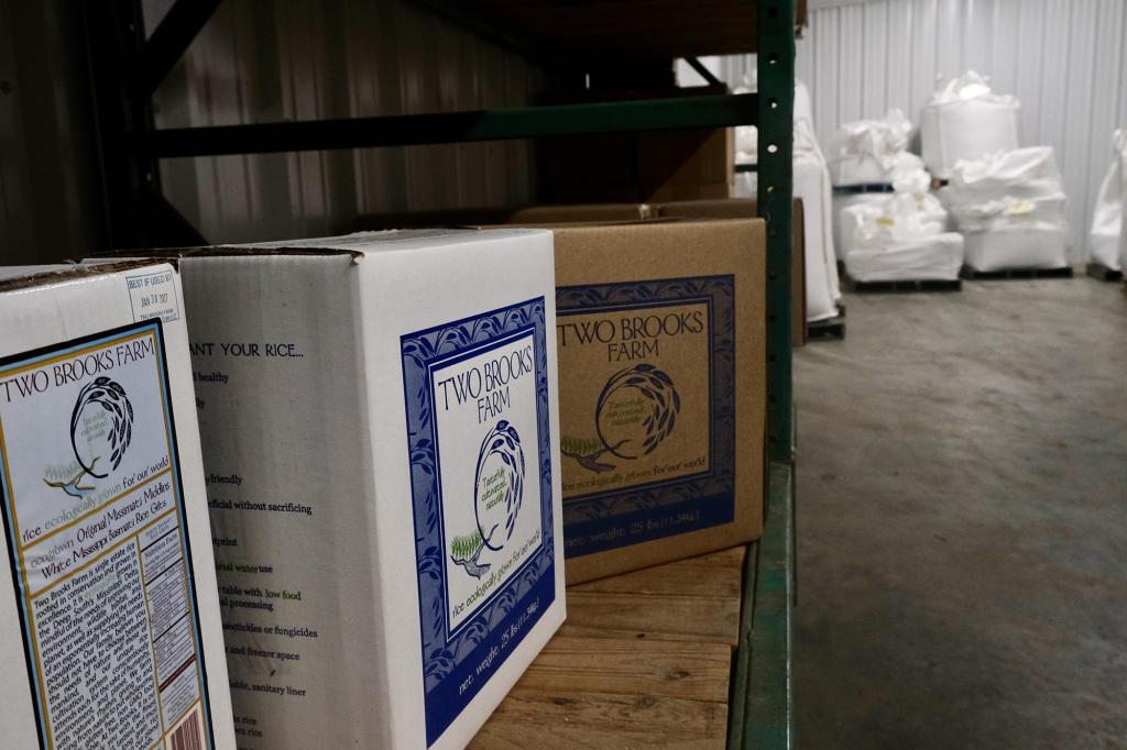 Boxes of the rice mix grown on Two Brooks Farm that includes weedy rice. 
