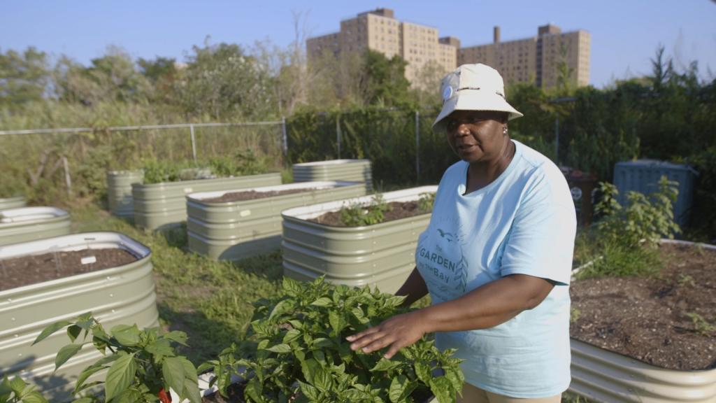 Jackie Rogers in the community garden she runs in her New York City neighborhood of Edgemere, which brings her healing in a place that has suffered from decades of neglect and repeated coastal flooding.