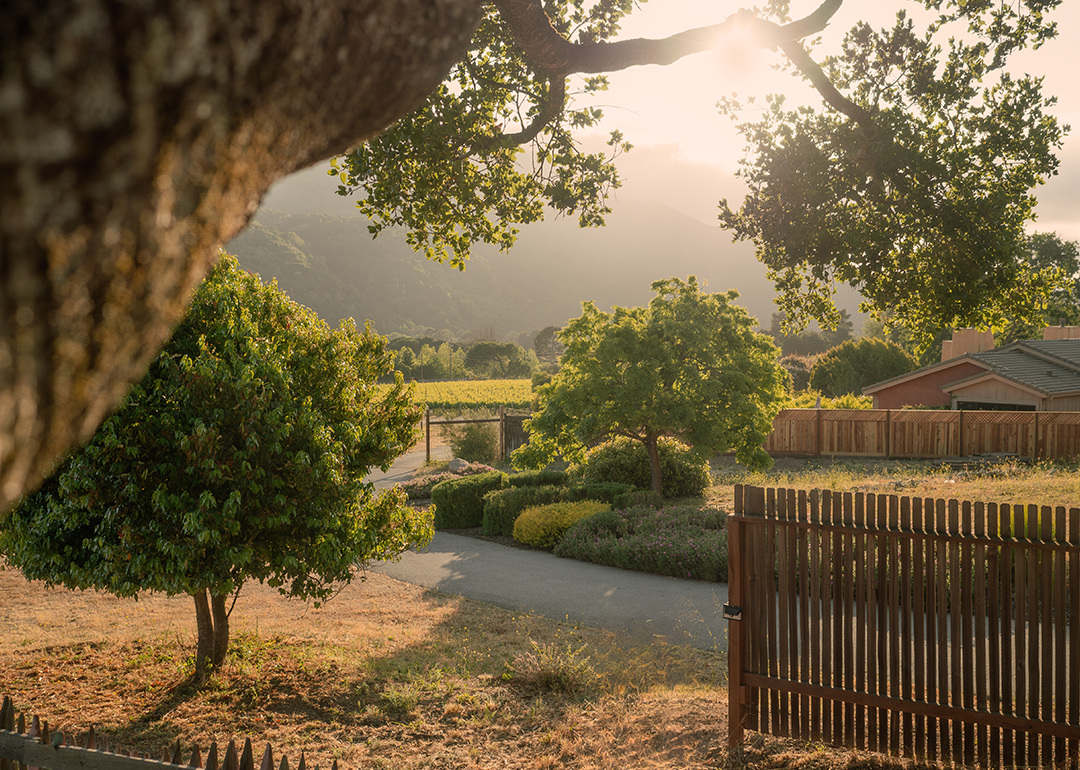 Landscape during golden hour seeing from a cottage front yard in Carmel Valley.