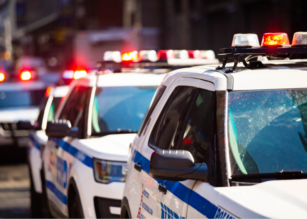 A line of white and blue police cars with lights flashing.