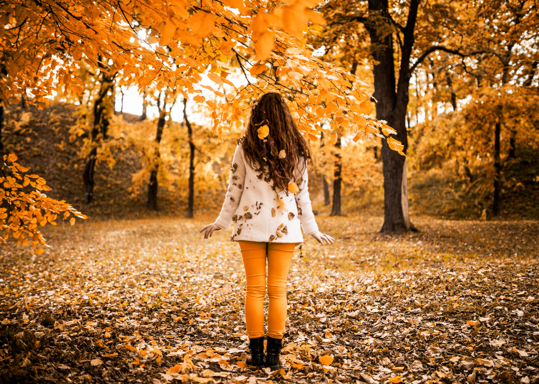 A woman standing in a forest in autumn