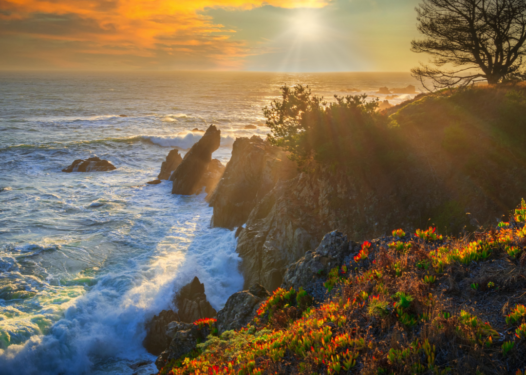 Highway 1, Northern California Coast