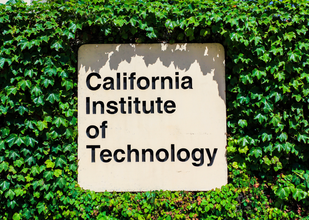 A sign for the California Institute of Technology imbedded in a wall of green ivy
