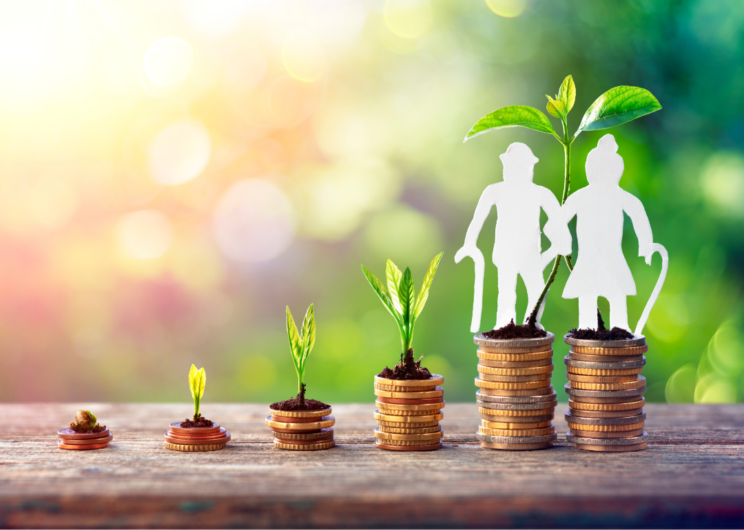 concept of savings growing illustrated by seeds and stacks of coins