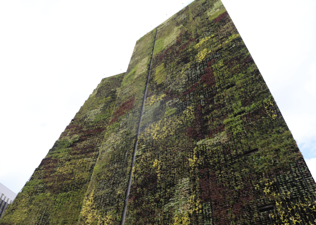 vertical wall garden at city hall in Medellin, Colombia