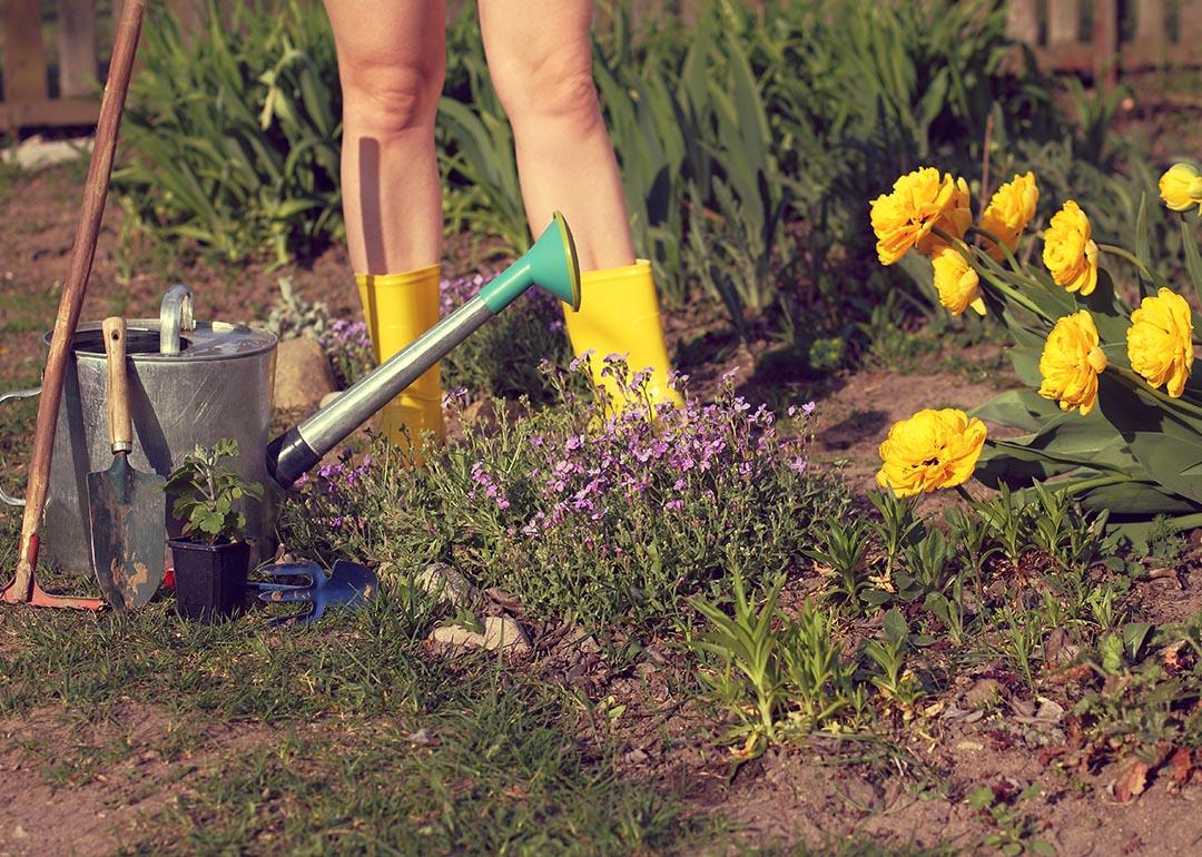 Gardener seen from knees down with bare legs in yellow boots next to a flower bed and garden tools.