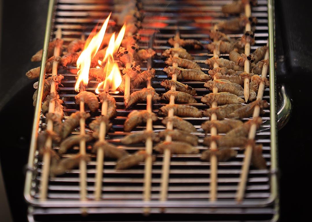 Grilled cicada skewers with some cicadas catching on fire on the grill during Cicadafest at Dr. Jim Duke's Green Farmacy Garden on May 22, 2021 in Fulton, Maryland.