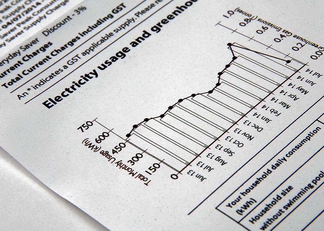 A closer view of the graphs and data in an electricity bill document.